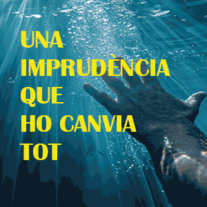 spot_img