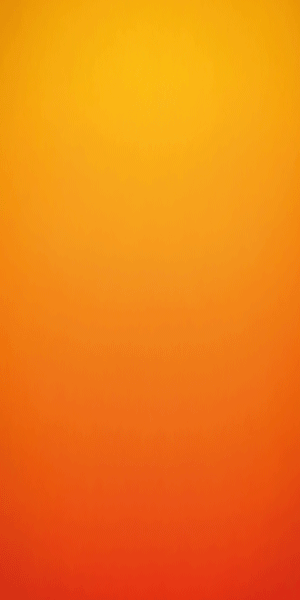 spot_img