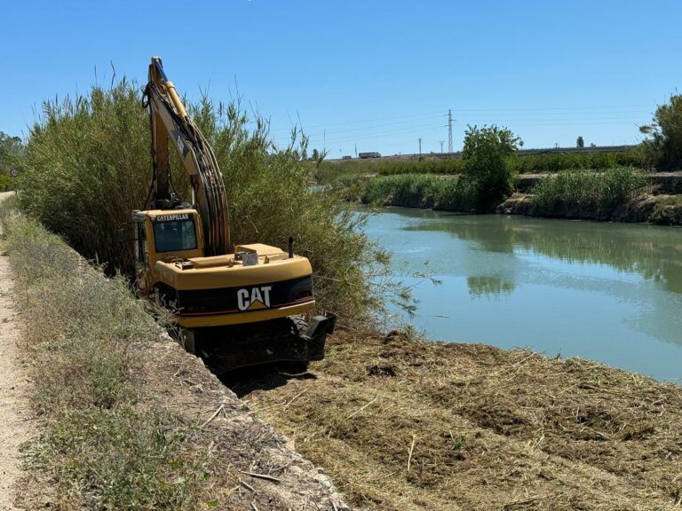 Sueca se suma al projecte ‘Canya a la canya’ per a cuidar l’entorn del Xúquer