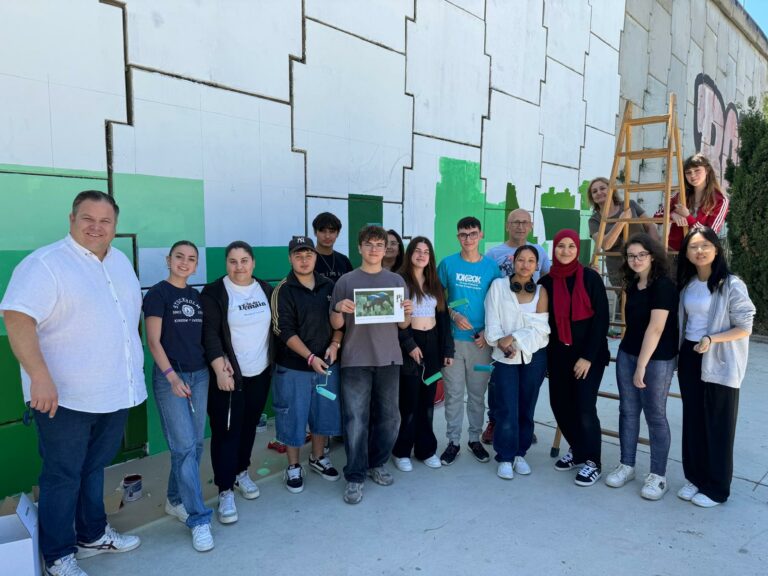 Sueca compta amb un nou grafiti en el pont de l’institut