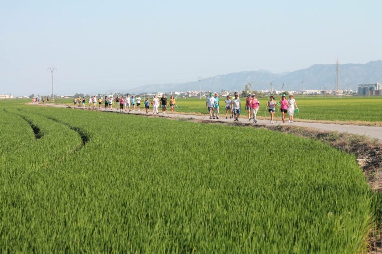 Sueca es prepara per a celebrar la festivitat dels Benissants de la Pedra