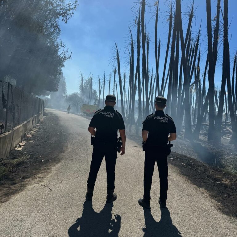 L’incendi d’un palmerar provoca una columna de fum que obliga a tallar l’A-38