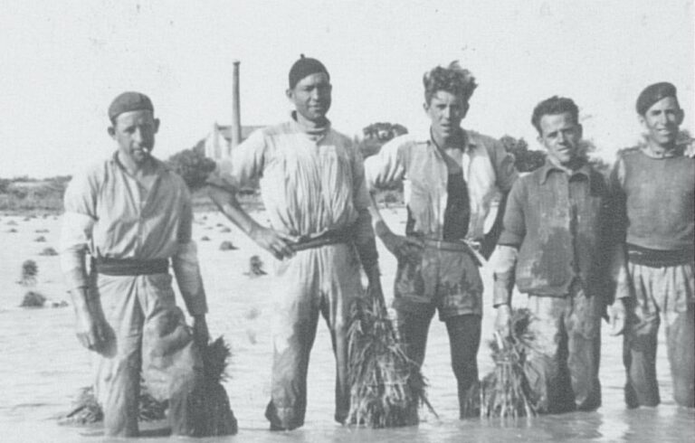 Sueca acull l’exposició ‘Fugir de la misèria. Temporers espanyols a Europa, 1948-1990’
