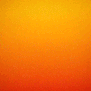 spot_img