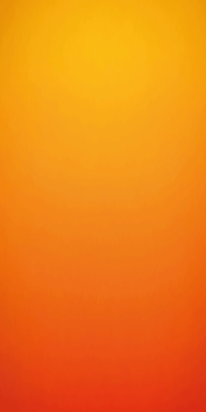 spot_img