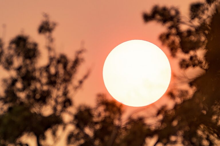Sueca s’enfronta a una onada de calor persistent amb nits tropicals